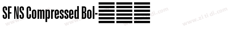 SF NS Compressed Bol字体转换 SF NS Compressed Bol字体转换